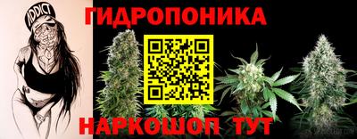сатива Гусев
