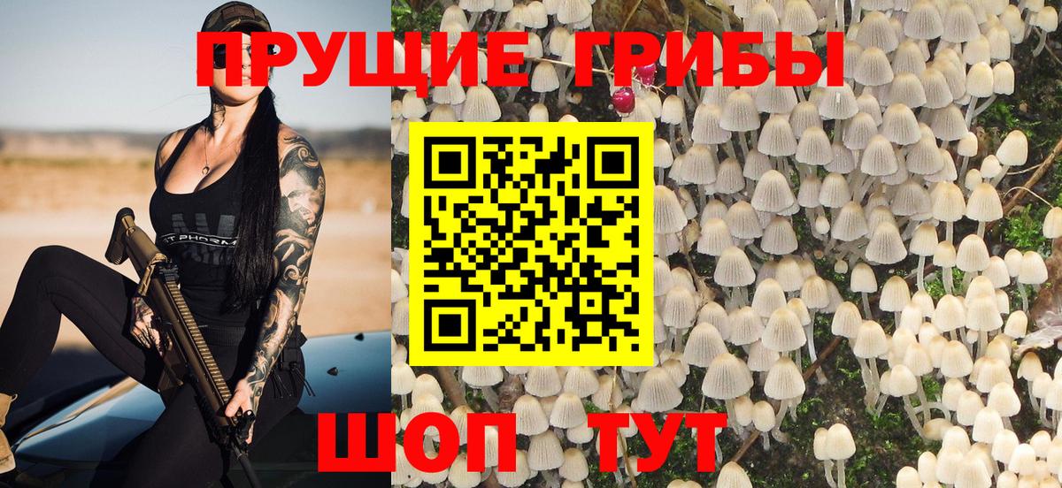 Галлюциногенные грибы мухоморы Мценск