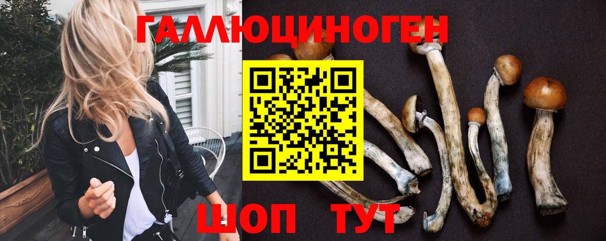 Мценск  Галлюциногенные грибы GOLDEN TEACHER  Вход с VPN 